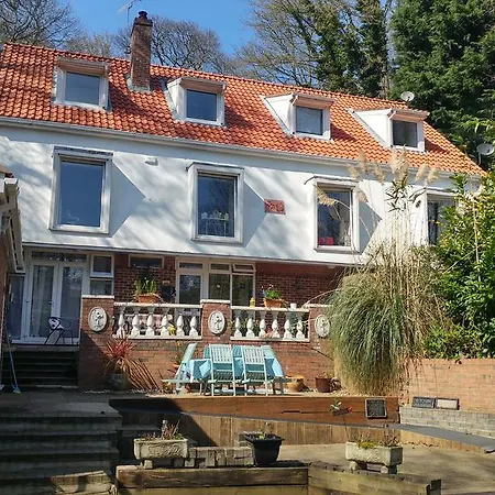 Thornybank-2